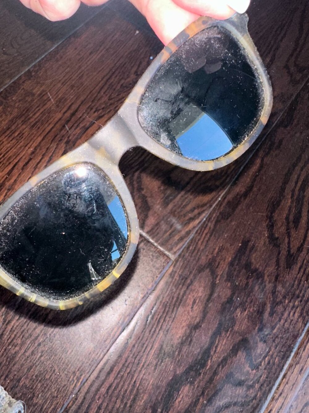 Pugs Women's Tortoise Shell Wayfarer Sunglasses
